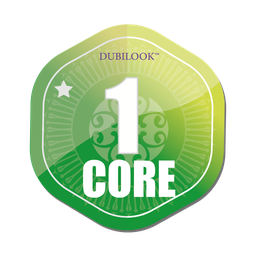 CORE 1